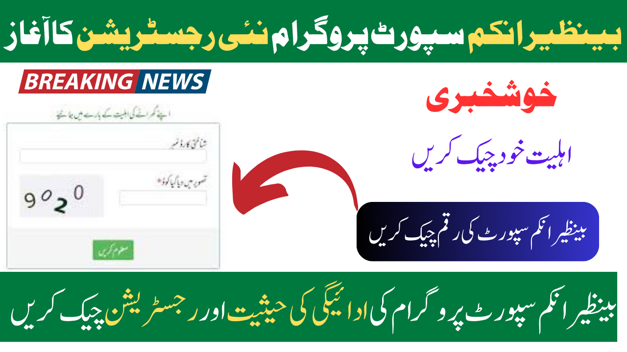 Bisp 8171 Ehsaas Program New registration Check Online By CNIC Latest Update