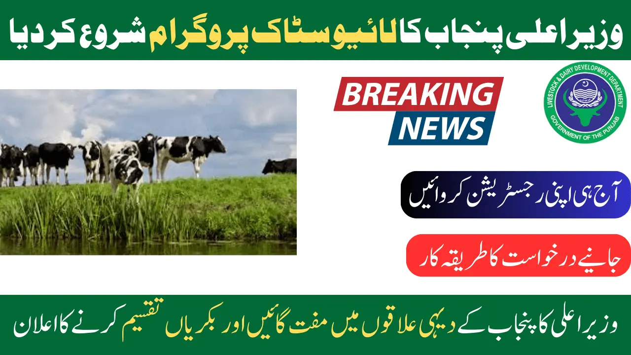 Registration Of Punjab Livestock Distribution Program Started