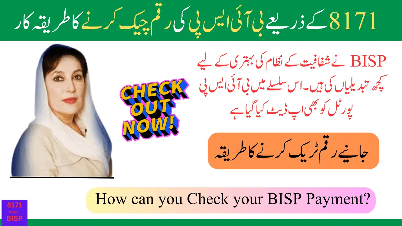 BISP 10500 Status Check By Portal Using Easy And Simple Method 2025