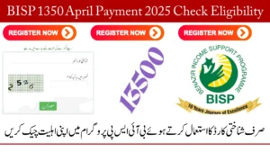 8171 Check Online CNIC BISP Eligibility For 13500 Payment (April 2025)