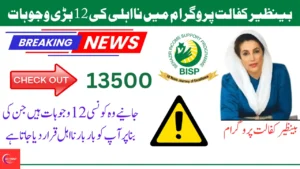 Benazir Kafalat Disqualification: Top 12 Elements & New BISP Update