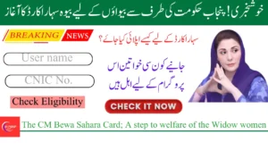 The CM Beewa Sahara Card: Empowering the Vulnerable with Support