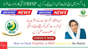 How to Determine Your Eligibility for BISP Assistance