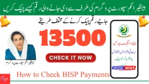 How to Check Benazir Income Support Programme (BISP) Payments: A Complete Guide