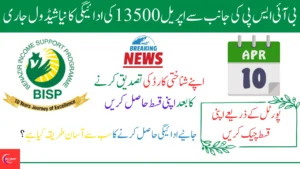 BISP 13500 Payment Schedule 2025 Announced – Check New Phase Dates Now
