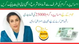 A Step-by-Step Guide to Applying for the 8171 Ehsaas Program 25000 BISP