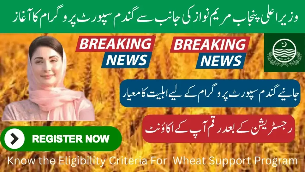 Eligibility Criteria For CM Punjab Wheat Support Program Payment – Know Complete Details