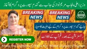 Eligibility Criteria For CM Punjab Wheat Support Program Payment – Know Complete Details